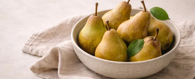 Mono-Ernährung-Therapie – Der Weg zur Darm- und Leberbalance - 1